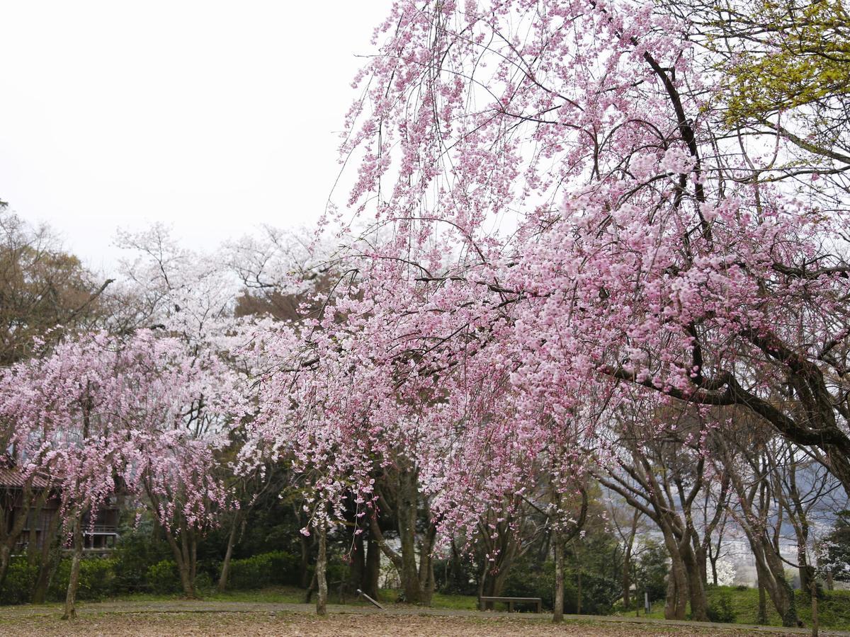 Yamashiro Onsen Midori No Yado Bansyoukaku Otel Kaga  Dış mekan fotoğraf